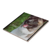 Akita Art Tegeltje (Zijkant)