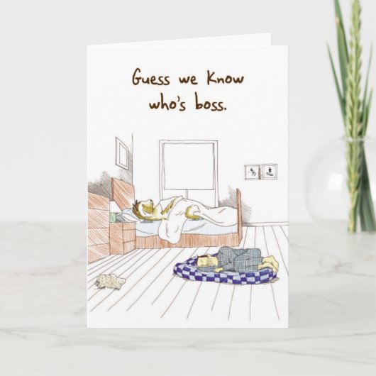 Akita Bossy Dog - Drôle carte d'anniversaire (Devant)