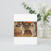 Akita Briefkaart (Staand voorkant)