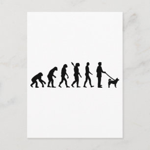 Akita Evolution Briefkaart