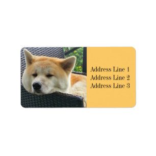 Akita foto adreslabel etiket