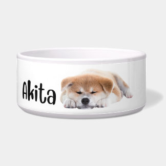 Akita - hondenrassen kom