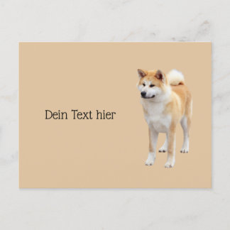 Akita Inu Briefkaart