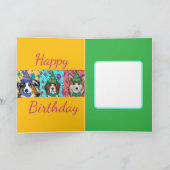 AKITA KAART (Binnen)