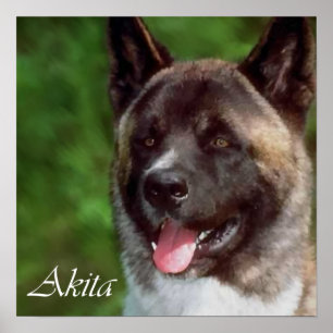Akita-kunstprintcadeaus Poster