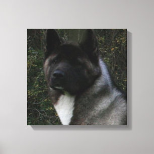 akita pinto zwart masker canvas afdruk