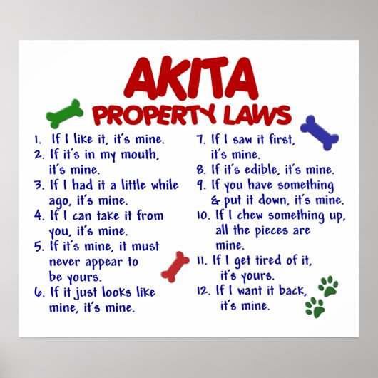 AKITA PL2 POSTER (Voorkant)