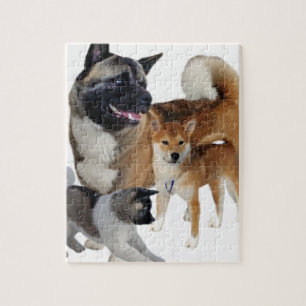 Akita Play Legpuzzel