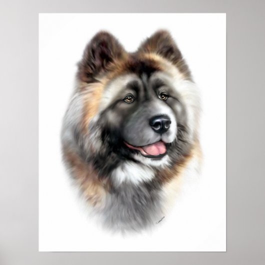 Akita Poster (Voorkant)