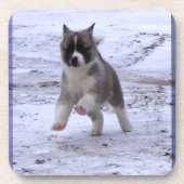 Akita Pup Onderzetter (Voorkant)