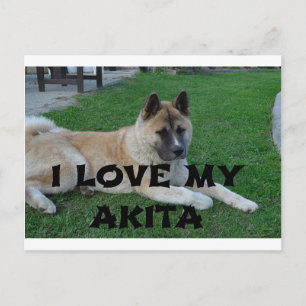 akita reekalf liggend liefde met foto briefkaart