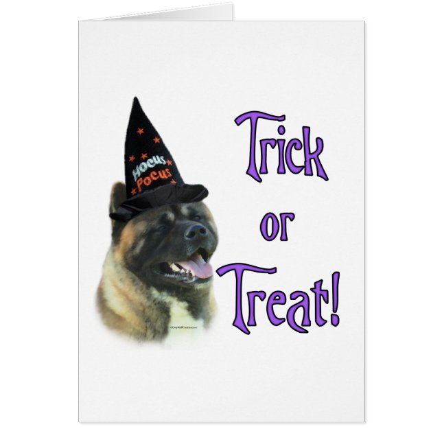 Akita Trick (Devant)