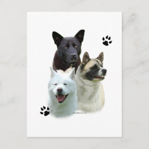 Akita Trio Briefkaart