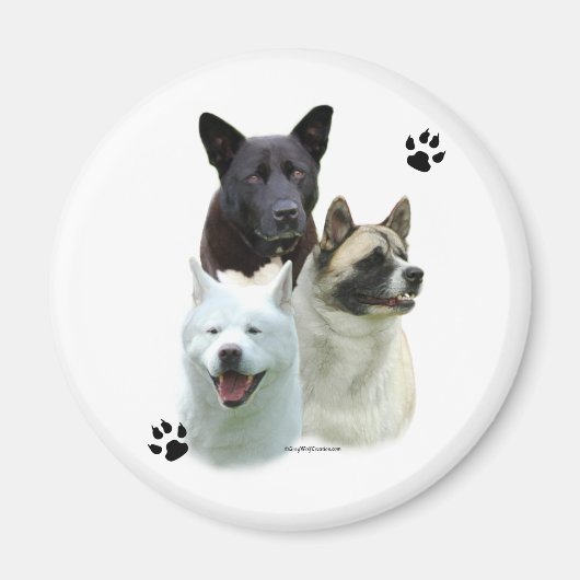 Akita Trio - Magnet (Devant)
