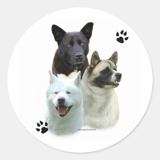 Akita Trio - Sticker (Devant)