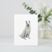 Akita - White Briefkaart (Staand voorkant)