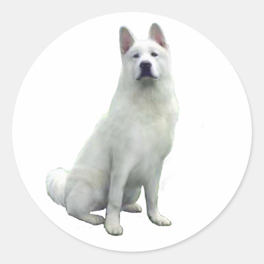 Akita - White Ronde Sticker (Voorkant)