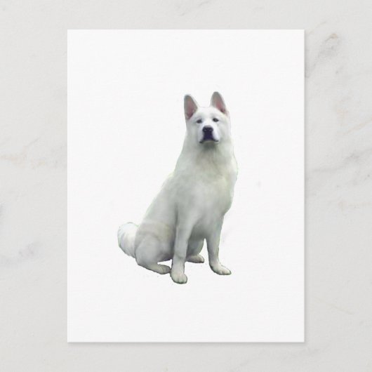 Akita - Wit Briefkaart (Voorkant)