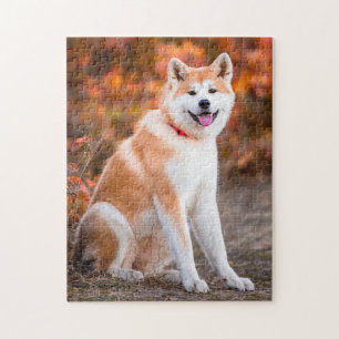 Akita-zitting Legpuzzel