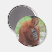 Akmad en Baby Boy Magneet (Voorkant / Achterkant)