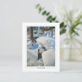 Akseli Gallen-Kallela #385 - Carte postale Art (Debout devant)