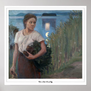 Akseli Gallen-Kallela Zedign Kunstposter #8 Poster