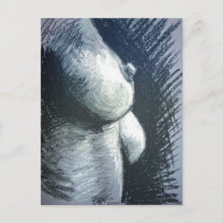 Akt, Frau Briefkaart