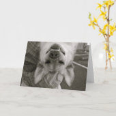 Al Gelegenheid Kaart (Gele Bloem)