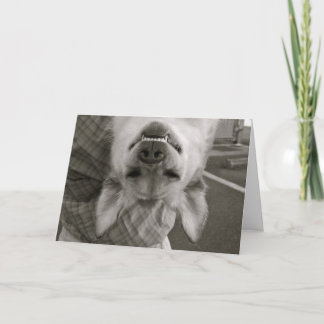 Al Gelegenheid Kaart