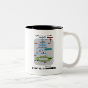 Al mijn cellen gaan door een cyclus (biologie) tweekleurige koffiemok