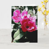 Al Wenskaart van de Gelegenheid (Spatie binnen) Kaart (Gele Bloem)