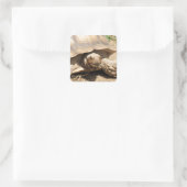 Ala Aldabra Vierkante Sticker (Tas)