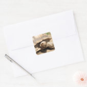 Ala Aldabra Vierkante Sticker (Envelop)