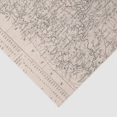 Alabama 6 tissuepapier (Detail)