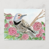 Alabama Briefkaart (Voorkant)