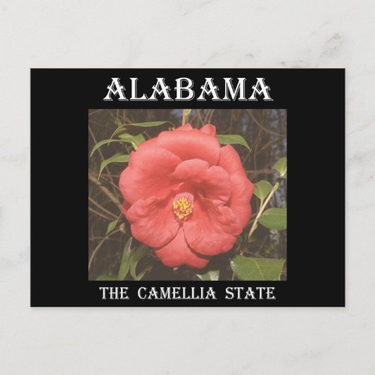Alabama Camellia (rood) Briefkaart (Voorkant)