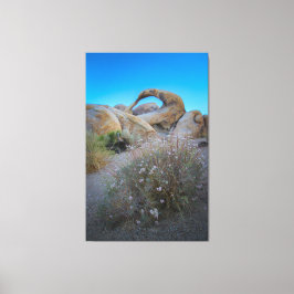 Alabama Hills Arch Canvas Afdruk