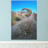 Alabama Hills Arch Canvas Afdruk (Insitu (Houten vloer))