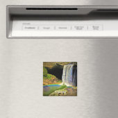 Alabama magnet magneet (Insitu (Vaatwasser))