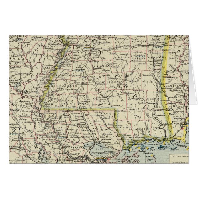 Alabama, Mississippi, Louisiane, Arkansas (Devant horizontal)