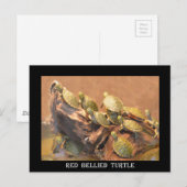 Alabama Red Bellied Turtle 2 (Alabama) Briefkaart (Voorkant / Achterkant)