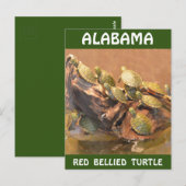 Alabama Red Bellied Turtle 2 (Alabama) Briefkaart (Voorkant / Achterkant)