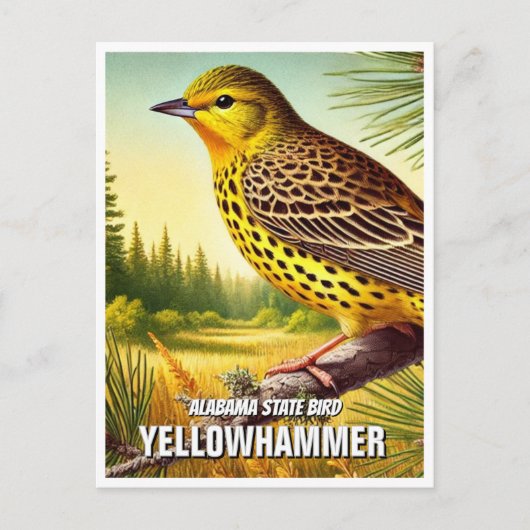 Alabama State Bird Yellowhammer Briefkaart (Voorkant)