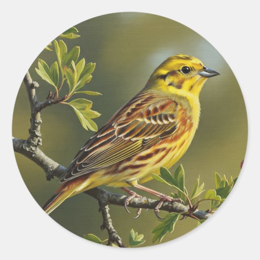 Alabama State Bird Yellowhammer Ronde Sticker (Voorkant)