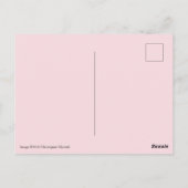 Alabama State Flower, Camellia Briefkaart (Achterkant)