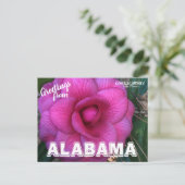 Alabama State Flower, Camellia Briefkaart (Staand voorkant)