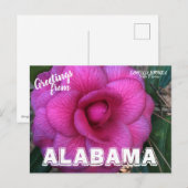 Alabama State Flower, Camellia Briefkaart (Voorkant / Achterkant)