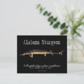 Alabama Sturgeon-Black-Briefkaart Briefkaart (Staand voorkant)