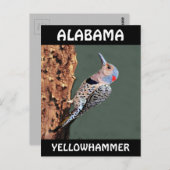 Alabama Yellowhammer Briefkaart (Voorkant / Achterkant)