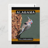 Alabama Yellowhammer Briefkaart (Voorkant / Achterkant)